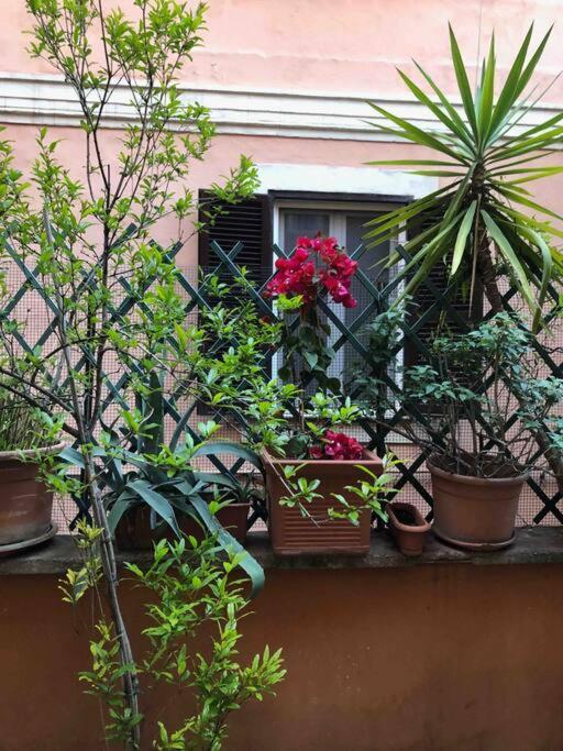 Centro Storico Appartamento Con Terrazza Rom Exterior foto